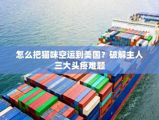怎么把猫咪空运到美国？破解主人三大头疼难题