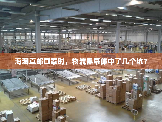 海淘直邮口罩时,物流黑幕你中了几个坑? 海淘直邮口罩时,物流黑幕你中了几个坑?
