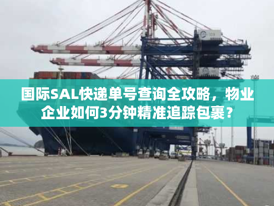 国际SAL快递单号查询全攻略，物业企业如何3分钟精准追踪包裹？