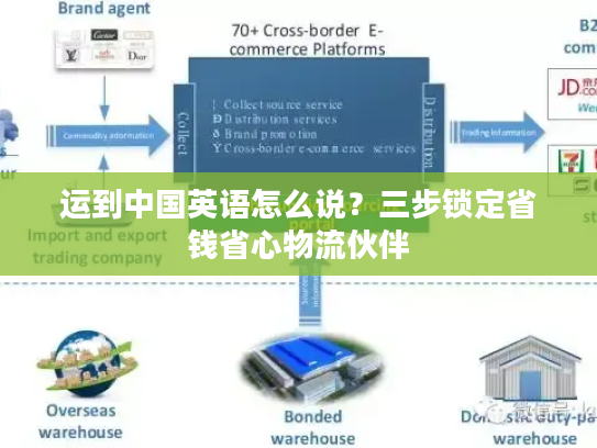 运到中国英语怎么说？三步锁定省钱省心物流伙伴