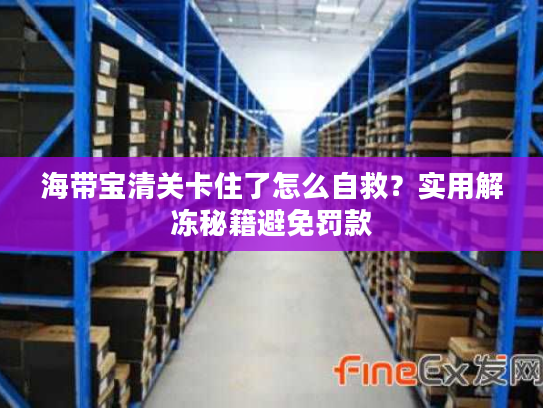 海带宝清关卡住了怎么自救？实用解冻秘籍避免罚款