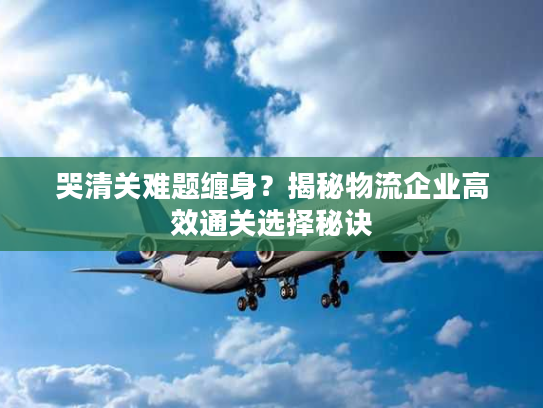 哭清关难题缠身？揭秘物流企业高效通关选择秘诀