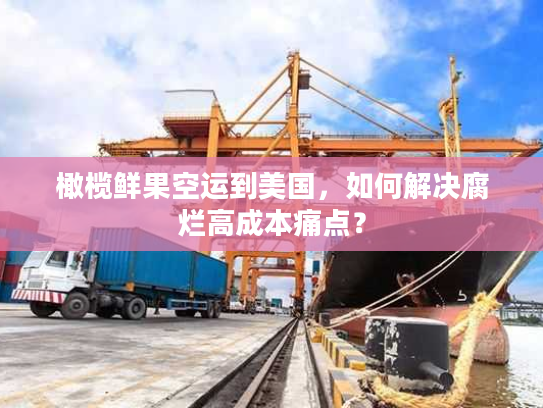 橄榄鲜果空运到美国,如何解决腐烂高成本痛点? 橄榄鲜果空运到美国,如何解决腐烂高成本痛点?