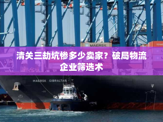 清关三劫坑惨多少卖家？破局物流企业筛选术