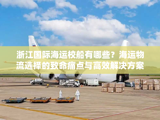 浙江国际海运校船有哪些？海运物流选择的致命痛点与高效解决方案
