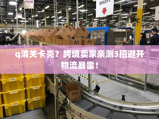 q清关卡壳？跨境卖家亲测3招避开物流暴雷！