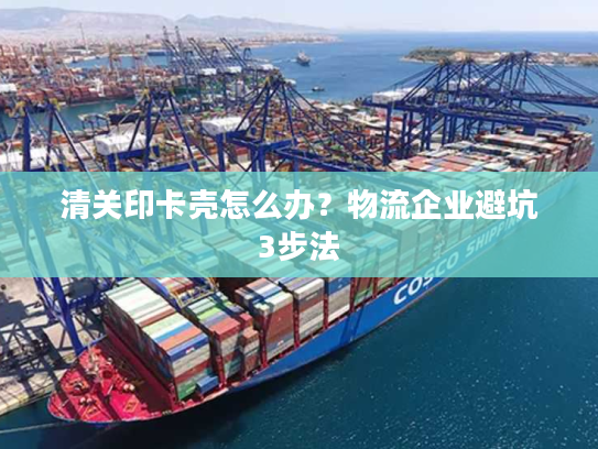 清关印卡壳怎么办？物流企业避坑3步法