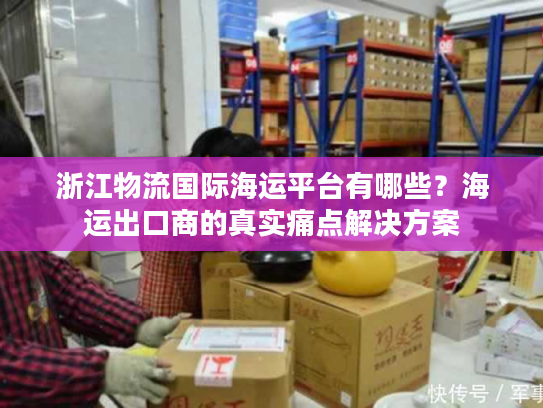 浙江物流国际海运平台有哪些？海运出口商的真实痛点解决方案