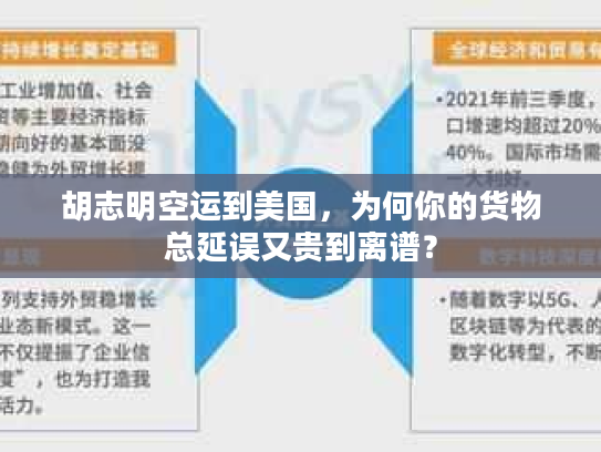 胡志明空运到美国，为何你的货物总延误又贵到离谱？