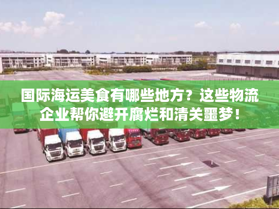 国际海运美食有哪些地方？这些物流企业帮你避开腐烂和清关噩梦！