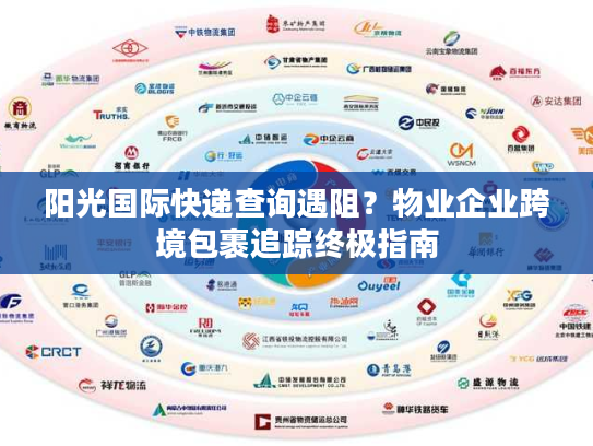 阳光国际快递查询遇阻？物业企业跨境包裹追踪终极指南