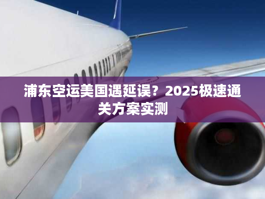 浦东空运美国遇延误？2025极速通关方案实测
