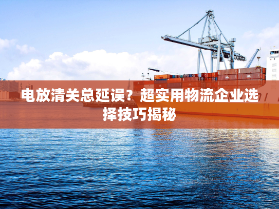 电放清关总延误？超实用物流企业选择技巧揭秘