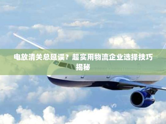 电放清关总延误?超实用物流企业选择技巧揭秘 电放清关总延误?超实用物流企业选择技巧揭秘