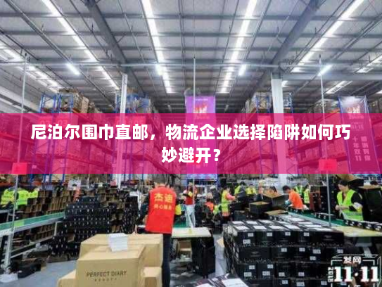 尼泊尔围巾直邮，物流企业选择陷阱如何巧妙避开？