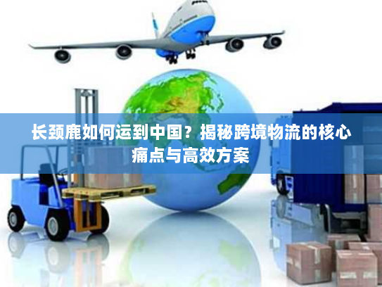 长颈鹿如何运到中国？揭秘跨境物流的核心痛点与高效方案