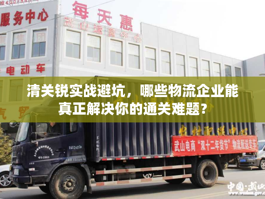 清关锐实战避坑,哪些物流企业能真正解决你的通关难题? 清关锐实战避坑,哪些物流企业能真正解决你的通关难题?