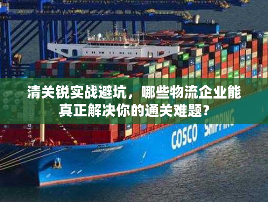 清关锐实战避坑,哪些物流企业能真正解决你的通关难题? 清关锐实战避坑,哪些物流企业能真正解决你的通关难题?