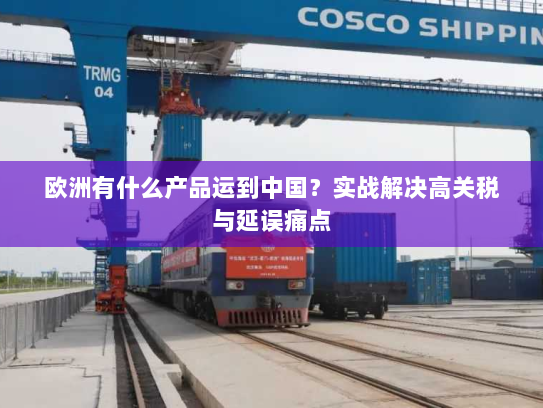 欧洲有什么产品运到中国？实战解决高关税与延误痛点