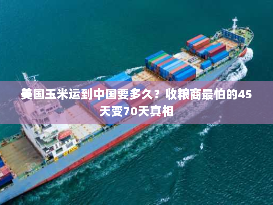 美国玉米运到中国要多久?收粮商最怕的45天变70天真相 美国玉米运到中国要多久?收粮商最怕的45天变70天真相