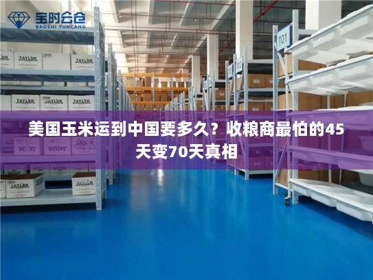 美国玉米运到中国要多久?收粮商最怕的45天变70天真相 美国玉米运到中国要多久?收粮商最怕的45天变70天真相