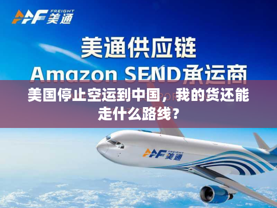 美国停止空运到中国，我的货还能走什么路线？