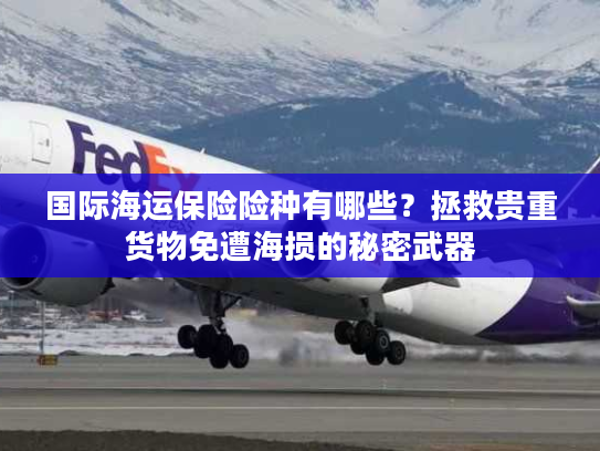 国际海运保险险种有哪些?拯救贵重货物免遭海损的秘密武器 国际海运保险险种有哪些?拯救贵重货物免遭海损的秘密武器