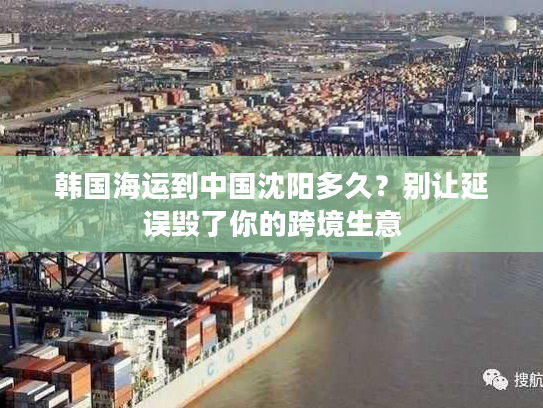 韩国海运到中国沈阳多久?别让延误毁了你的跨境生意 韩国海运到中国沈阳多久?别让延误毁了你的跨境生意