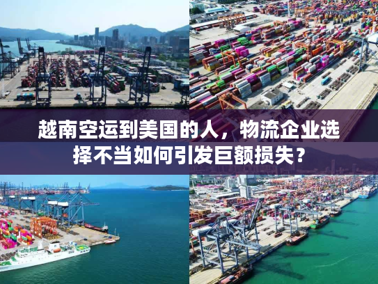 越南空运到美国的人,物流企业选择不当如何引发巨额损失? 越南空运到美国的人,物流企业选择不当如何引发巨额损失?