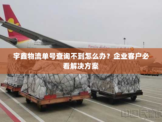宇鑫物流单号查询不到怎么办?企业客户必看解决方案 宇鑫物流单号查询不到怎么办?企业客户必看解决方案