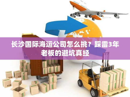 长沙国际海运公司怎么挑？踩雷3年老板的避坑真经
