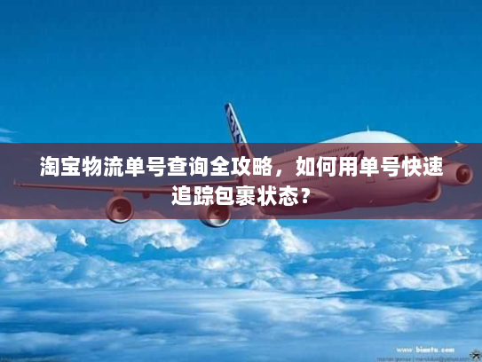 淘宝物流单号查询全攻略,如何用单号快速追踪包裹状态? 淘宝物流单号查询全攻略,如何用单号快速追踪包裹状态?