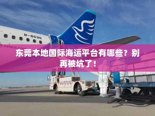 东莞本地国际海运平台有哪些？别再被坑了！