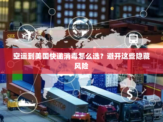空运到美国快递消毒怎么选？避开这些隐藏风险