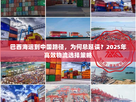 巴西海运到中国路径,为何总延误?2025年高效物流选择策略 巴西海运到中国路径,为何总延误?2025年高效物流选择策略