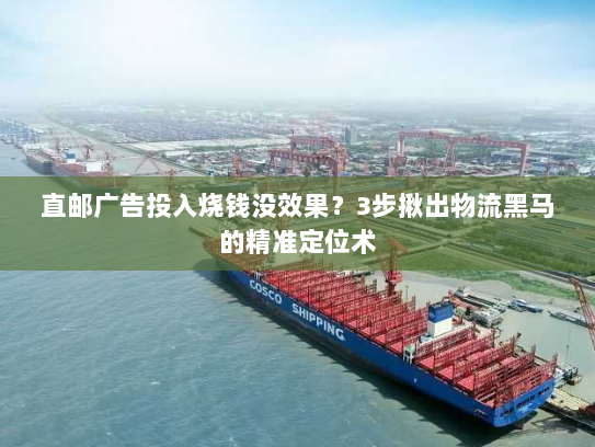 直邮广告投入烧钱没效果？3步揪出物流黑马的精准定位术