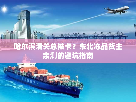 哈尔滨清关总被卡？东北冻品货主亲测的避坑指南