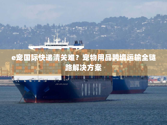 e宠国际快递清关难？宠物用品跨境运输全链路解决方案