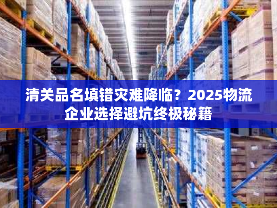 清关品名填错灾难降临？2025物流企业选择避坑终极秘籍
