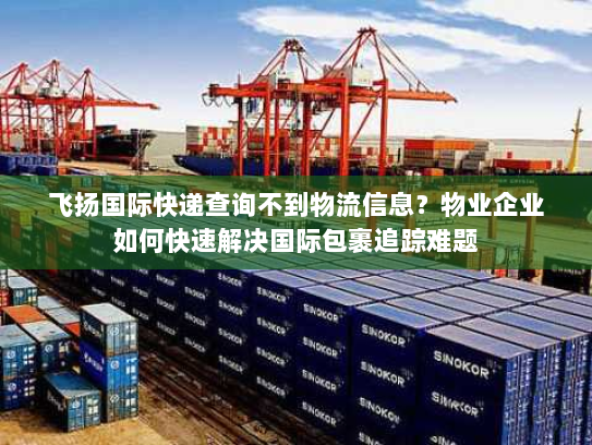 飞扬国际快递查询不到物流信息？物业企业如何快速解决国际包裹追踪难题
