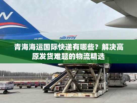 青海海运国际快递有哪些？解决高原发货难题的物流精选
