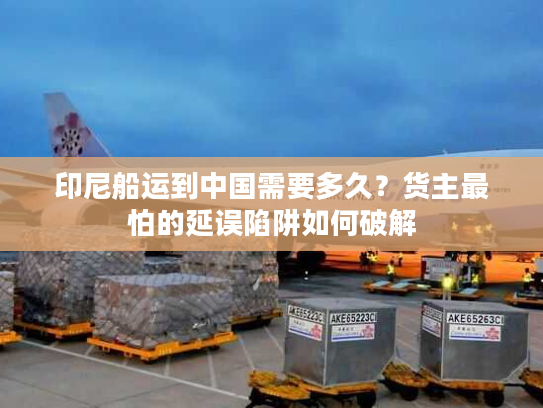 印尼船运到中国需要多久？货主最怕的延误陷阱如何破解