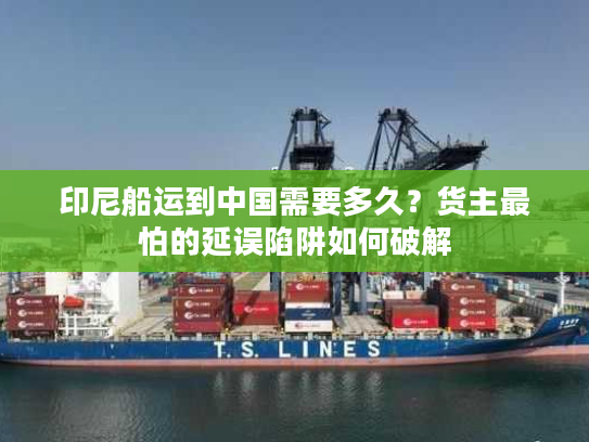 印尼船运到中国需要多久？货主最怕的延误陷阱如何破解