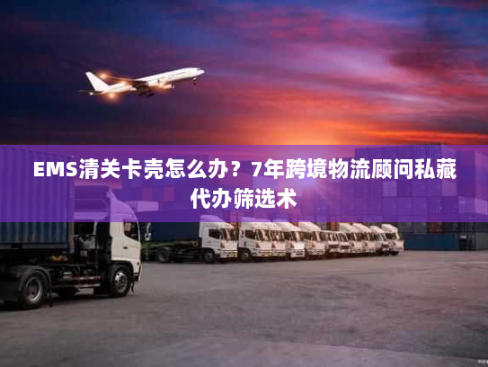 EMS清关卡壳怎么办？7年跨境物流顾问私藏代办筛选术