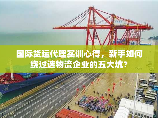国际货运代理实训心得，新手如何绕过选物流企业的五大坑？