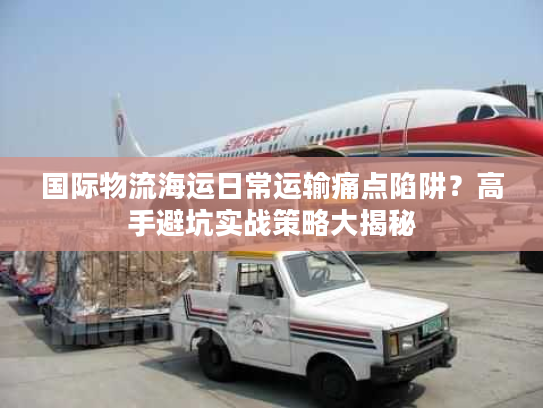国际物流海运日常运输痛点陷阱？高手避坑实战策略大揭秘
