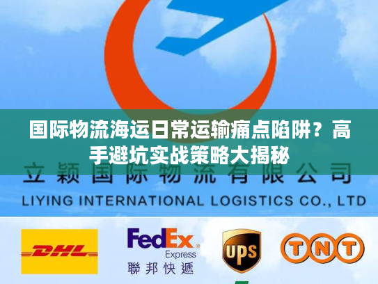 国际物流海运日常运输痛点陷阱？高手避坑实战策略大揭秘