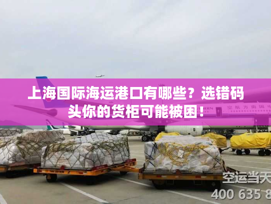 上海国际海运港口有哪些？选错码头你的货柜可能被困！