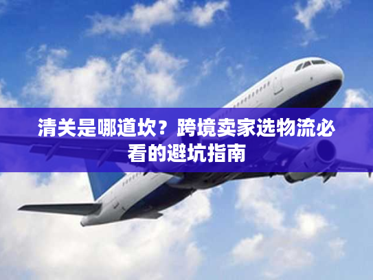 清关是哪道坎？跨境卖家选物流必看的避坑指南