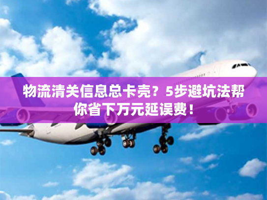 物流清关信息总卡壳？5步避坑法帮你省下万元延误费！